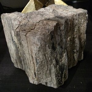 Natural Petrified Wood Sculpture